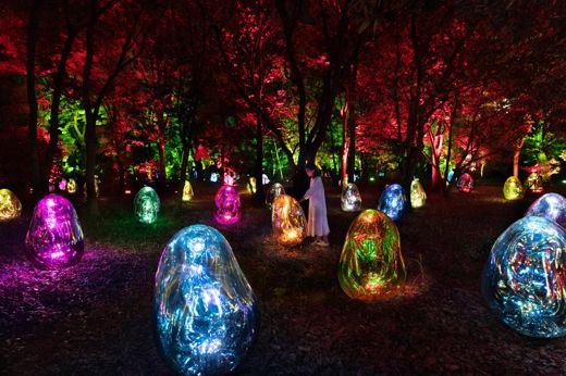 teamLab · Botanical Garden, Osaka